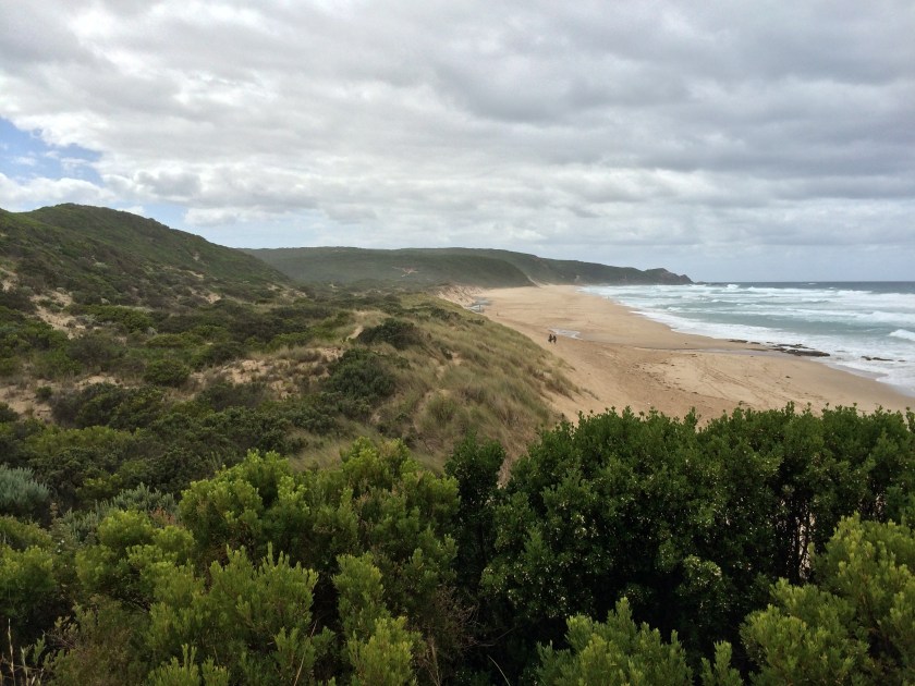 The beach from the lookout